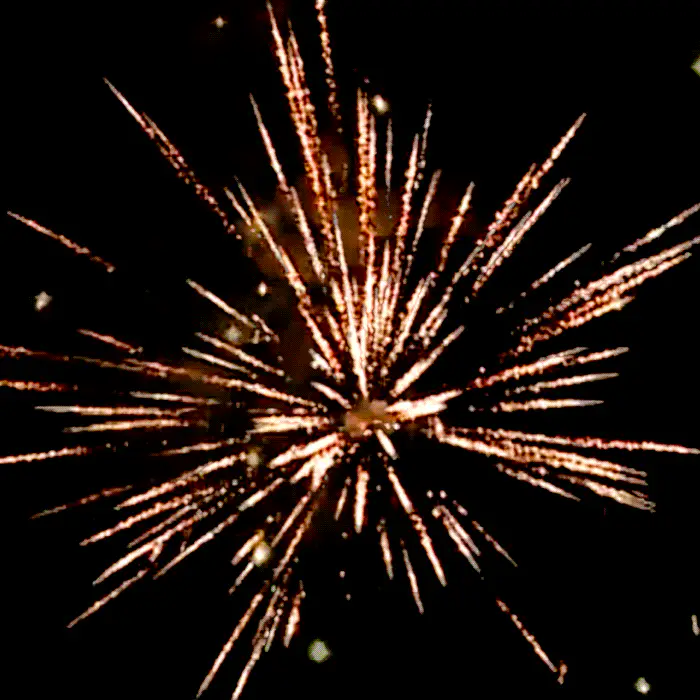 Dead Presidents⢠196 Shot XL® Aerial Finale Set® - Image 2