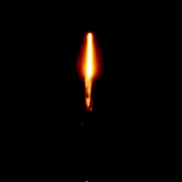 Magic Blooms™  10 Shot Roman Candles - Image 2