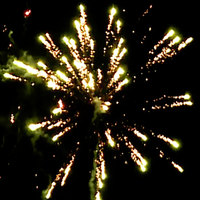 Pyrosonix™ 343 Shot Sampler® - Image 2